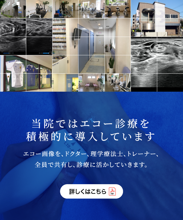 くまざわ整形外科クリニック 東京都調布市 整形外科 リハビリテーション科